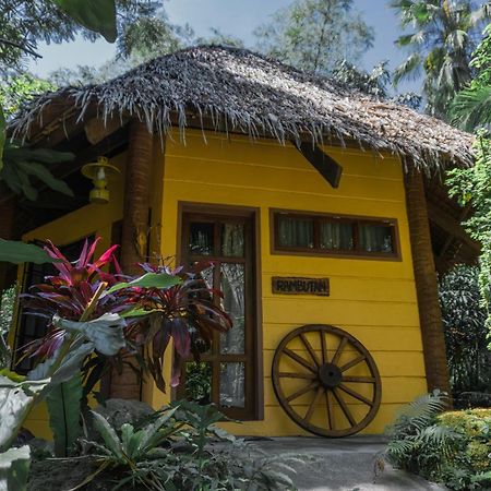 Forest Camp Valencia (Negros Oriental) Exterior foto