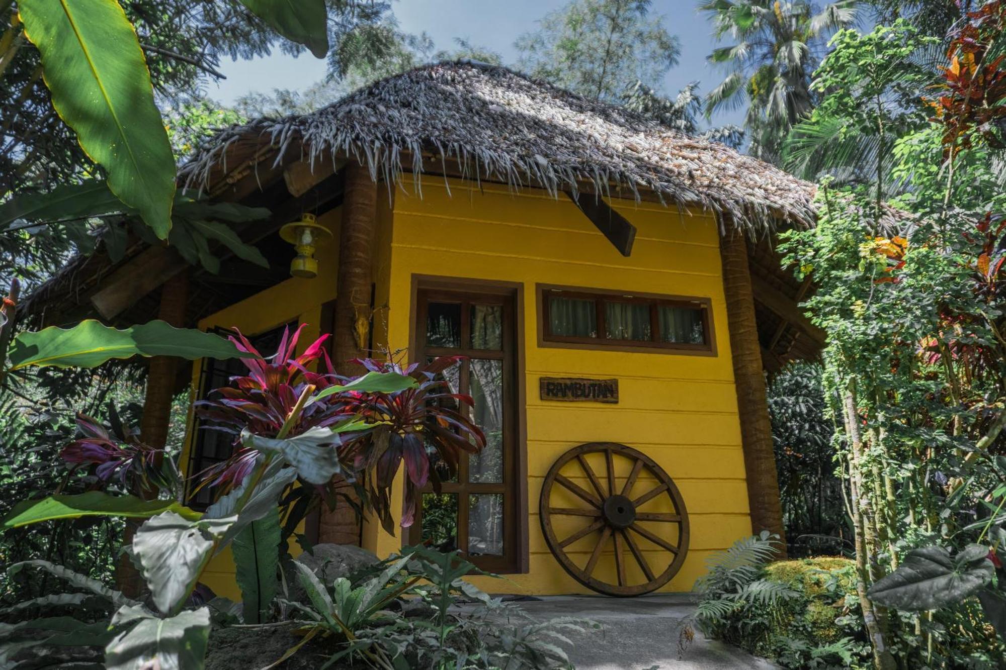 Forest Camp Valencia (Negros Oriental) Exterior foto